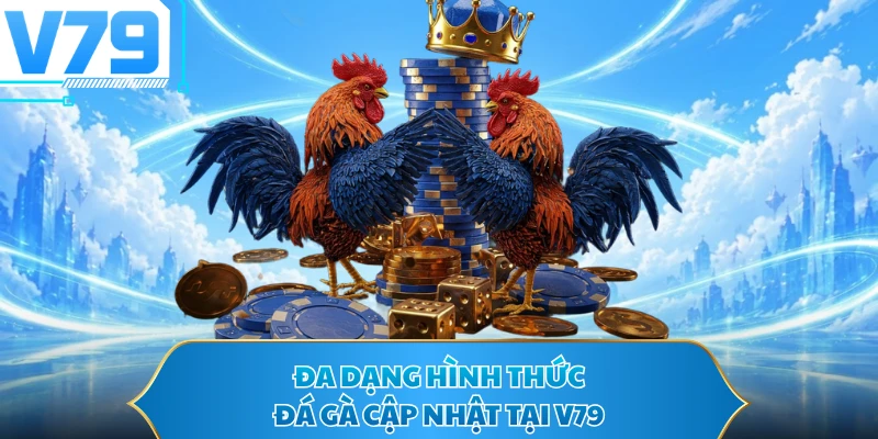 Đa dạng hình thức đá gà cập nhật tại V79